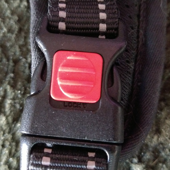 PhoePet Medium Dog Harness - Picture 4 of 7